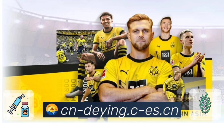 <strong>德赢体育</strong>App 赛后复盘截图